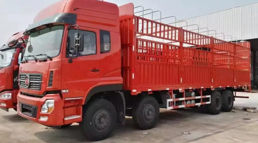 藍牌新規(guī)執(zhí)行近一月，這兩種新型倉柵車你更看好哪種？