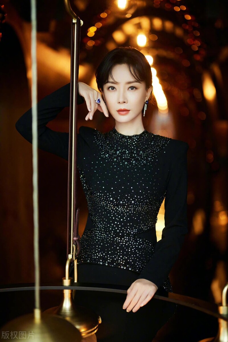 貌美如仙陈数