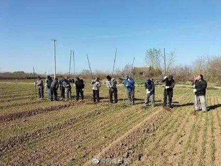 大河早点看丨河南公开已办理疫情防控公开募捐方案备案的慈善组织；河南殷墟王陵区新发现460多座祭祀坑