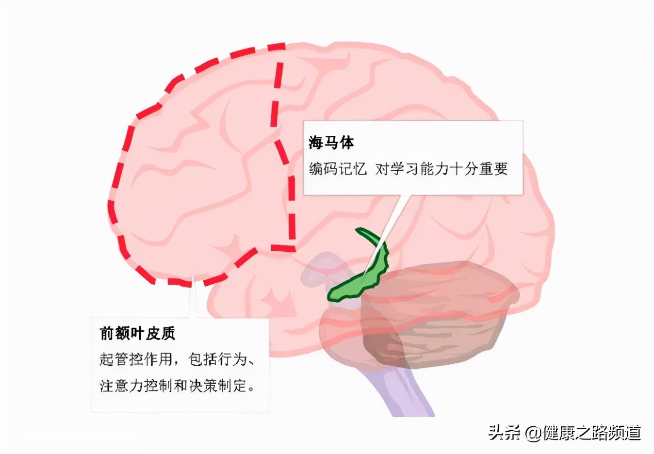 为什么有人会老年痴呆？其实每天花5分钟能预防，人人都会做