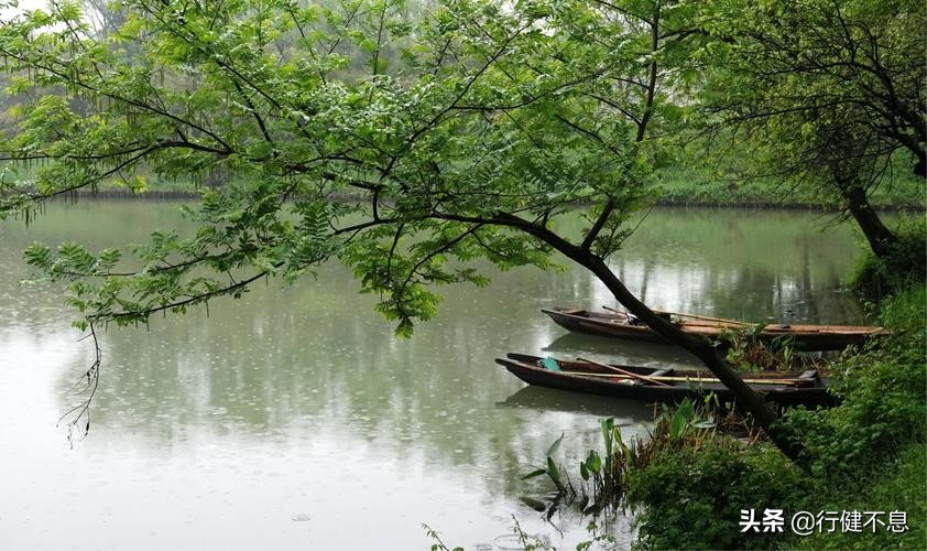 沾衣欲湿杏花雨：十二首著名的春雨诗词，展示大诗人的雨中情