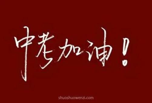 中考记叙文阅读“赏析句子”近年真题集锦，带答案有解析可复制