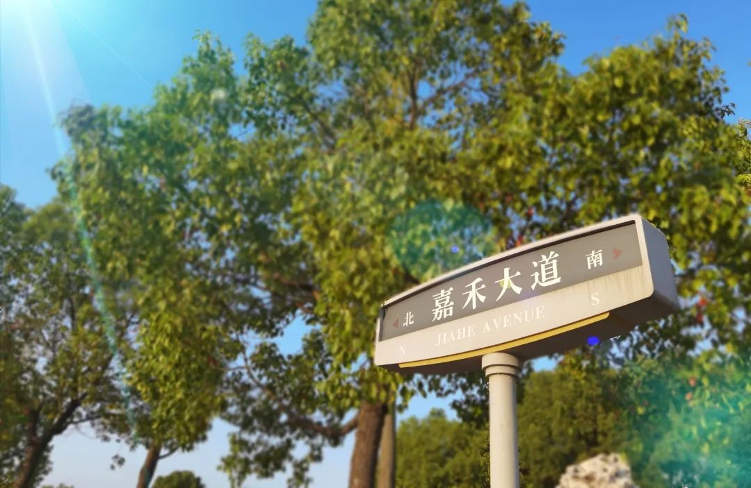 坐落千年都城，走过甲子岁月！南京财经大学：光芒之下，实力尽显