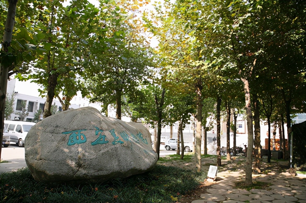 西安美院取消2022年校考，美术生们该怎么办？关注这三点录取有望