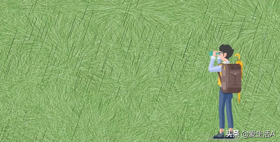 学校的花坛（优秀作文）