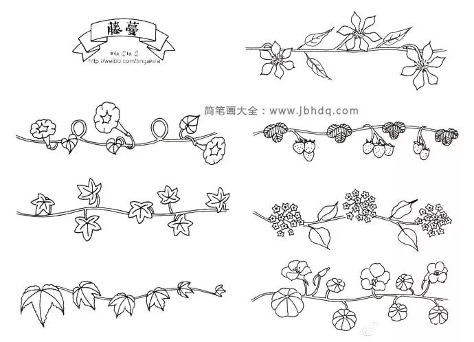 藤蔓素材(一组黑白小盆栽简笔画,清新脱俗)