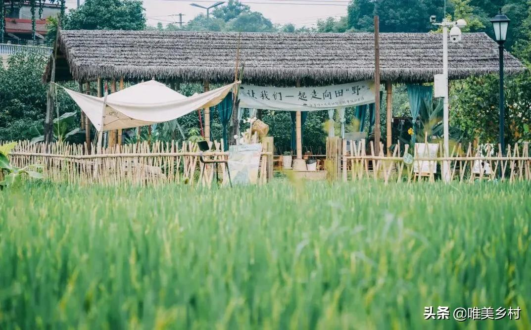 家庭农场、休闲农业植入“亲子”业态，如何与市场对接？五大技巧