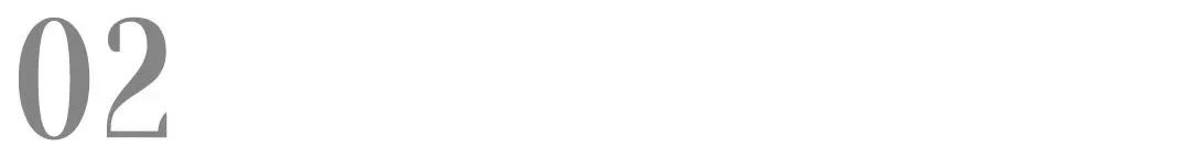 ADM 宠物新品发布会丨英派特进入中国，珍宝上新