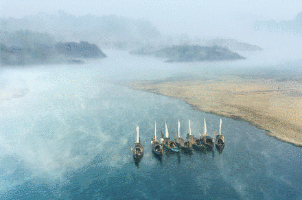 收藏！莲都春游好去处都在这里了