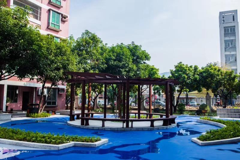 廣州市南沙第一中學(xué)：我在豐澤東路的日子(圖26)