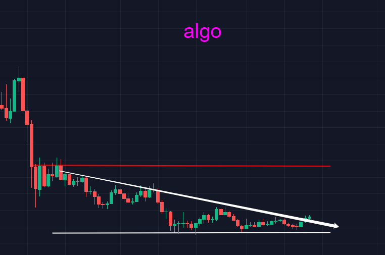 比特币走出小荷才露尖尖角之势