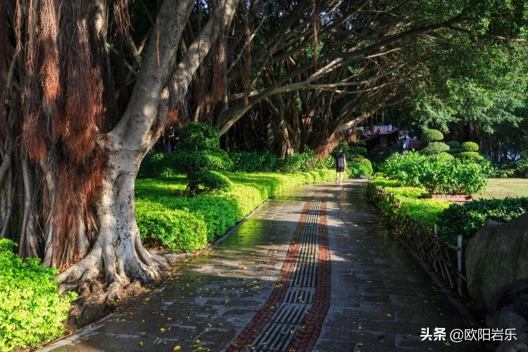 冬天必去的9个旅行地,背上心爱的单反相机,挑一个,现在就出发