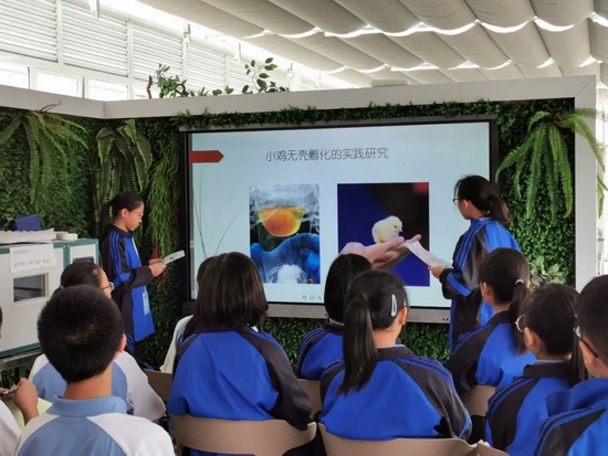 不愧是你，特等奖第一名！双中实验综合实践活动课程再获殊荣