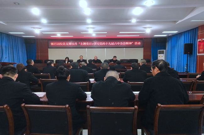 镇巴法院党支部深入学习贯彻党的十九届六中全会精神