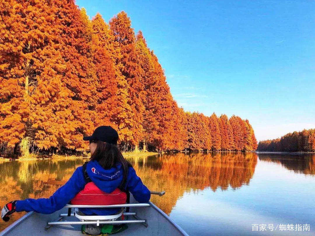 上海金秋去哪玩？必打卡这6个宝藏旅行地，遇见魔都最美的秋色
