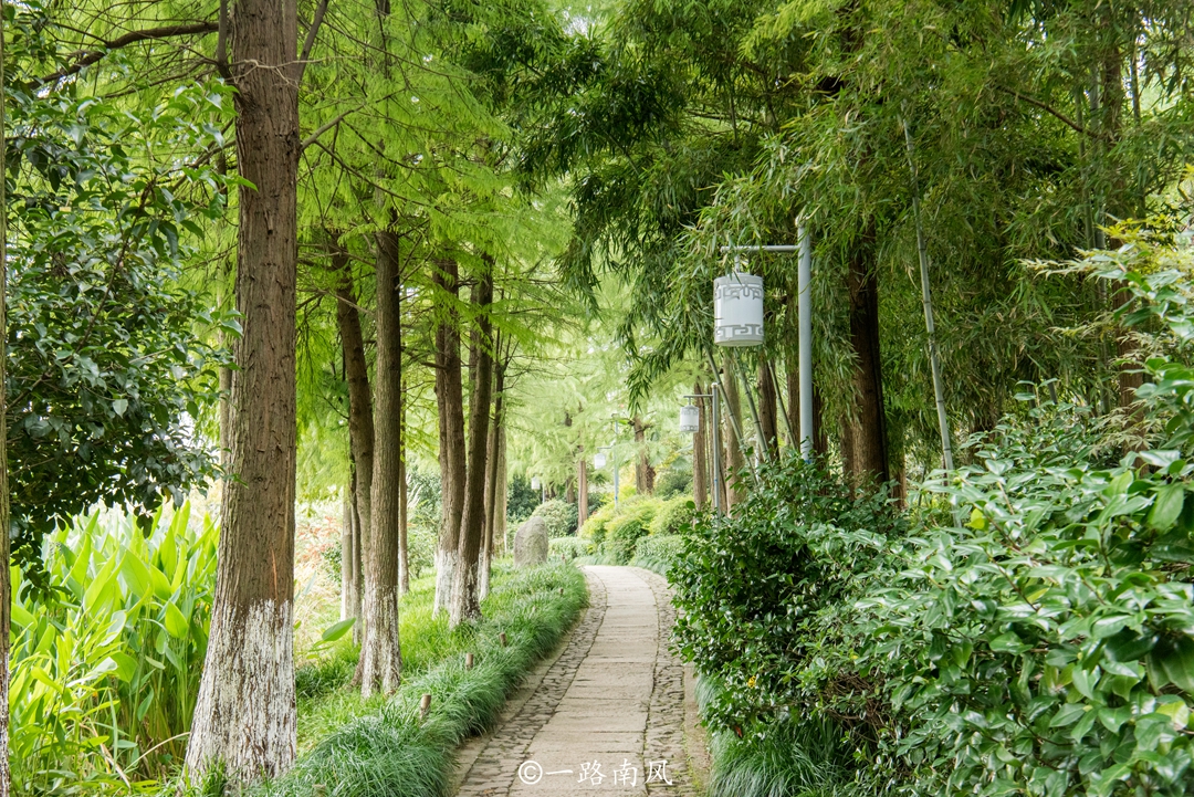 杭州周边旅游景点攻略，这三个地方公交车直达，一天时间可以走完
