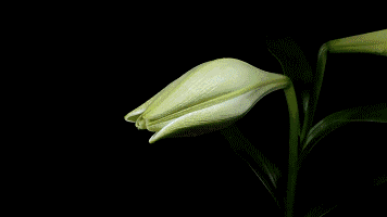 2022全新延时后期软件来袭！＋顶级教程帮你全面掌握延时摄影