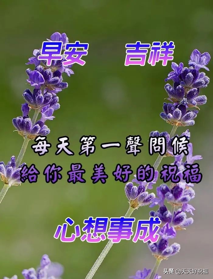 有創意的友情早上好免打字圖片帶祝福語 溫馨的早上好問候圖片精選