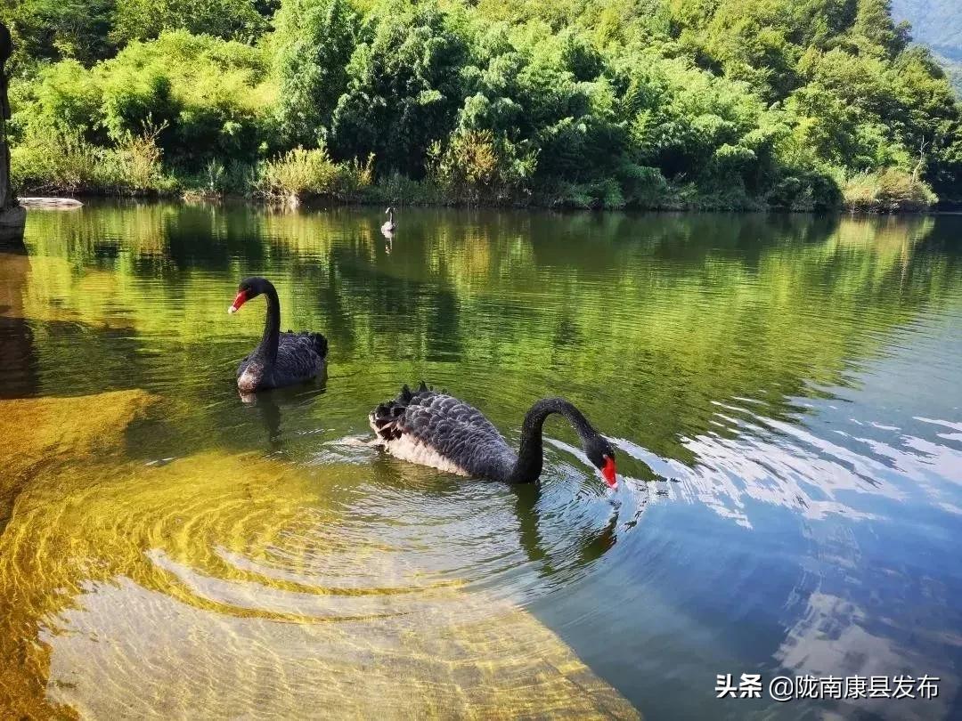 一路欢歌醉氧，恰逢惬意时光