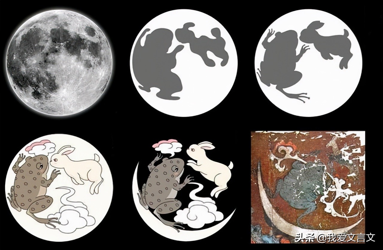 经典文言文赏析 | 蟾蜍与蚵蚾