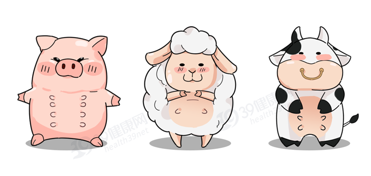 “猪奶”是什么味道？为什么没人喝？其实，它的营养比牛奶还要高