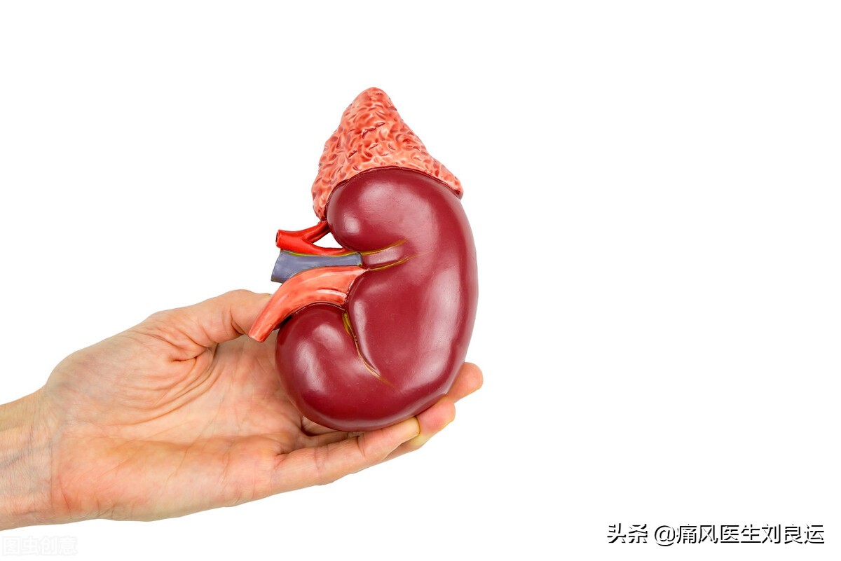 肝肾功能检测是调整降尿酸药物剂量的依据