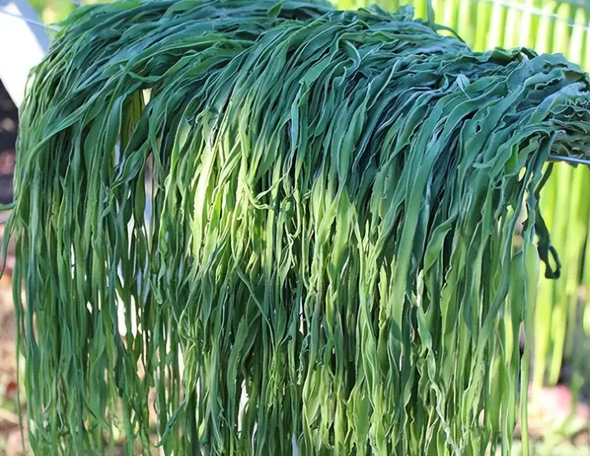 贡菜和莴笋一样都是属于莴苣属的植物,可是却是不同品种的,也就是说