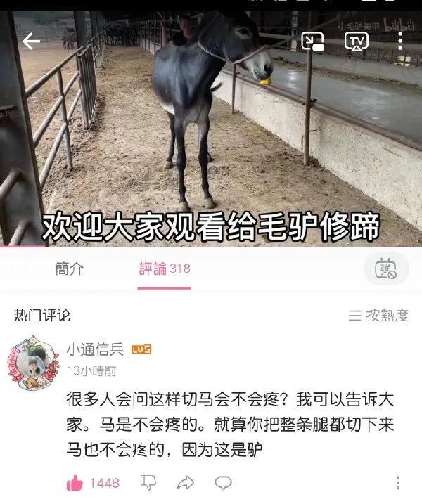 神回复：第一次带朋友游泳，需要注意什么？被神评笑死了