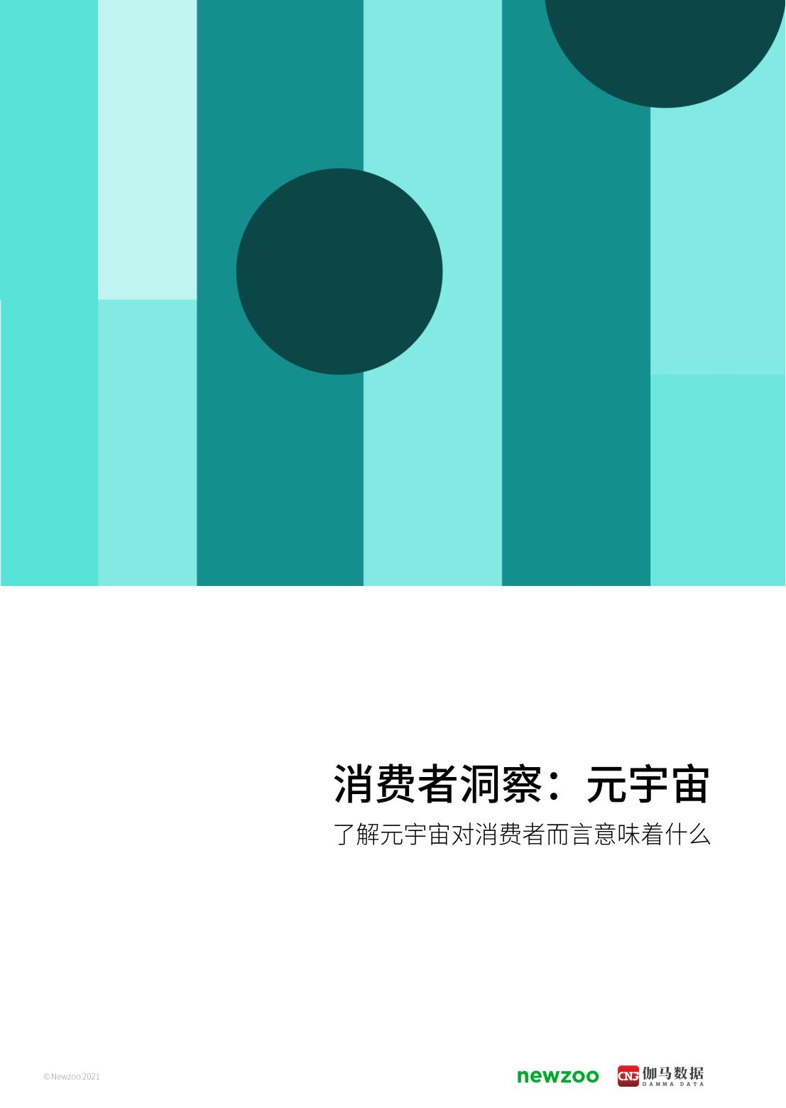 2021年元宇宙全球发展报告