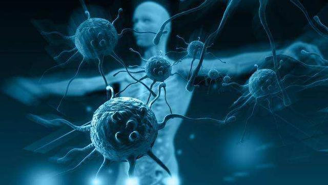 断食3天可以重启人体免疫系统？美国研究公布结果，越早知道越好