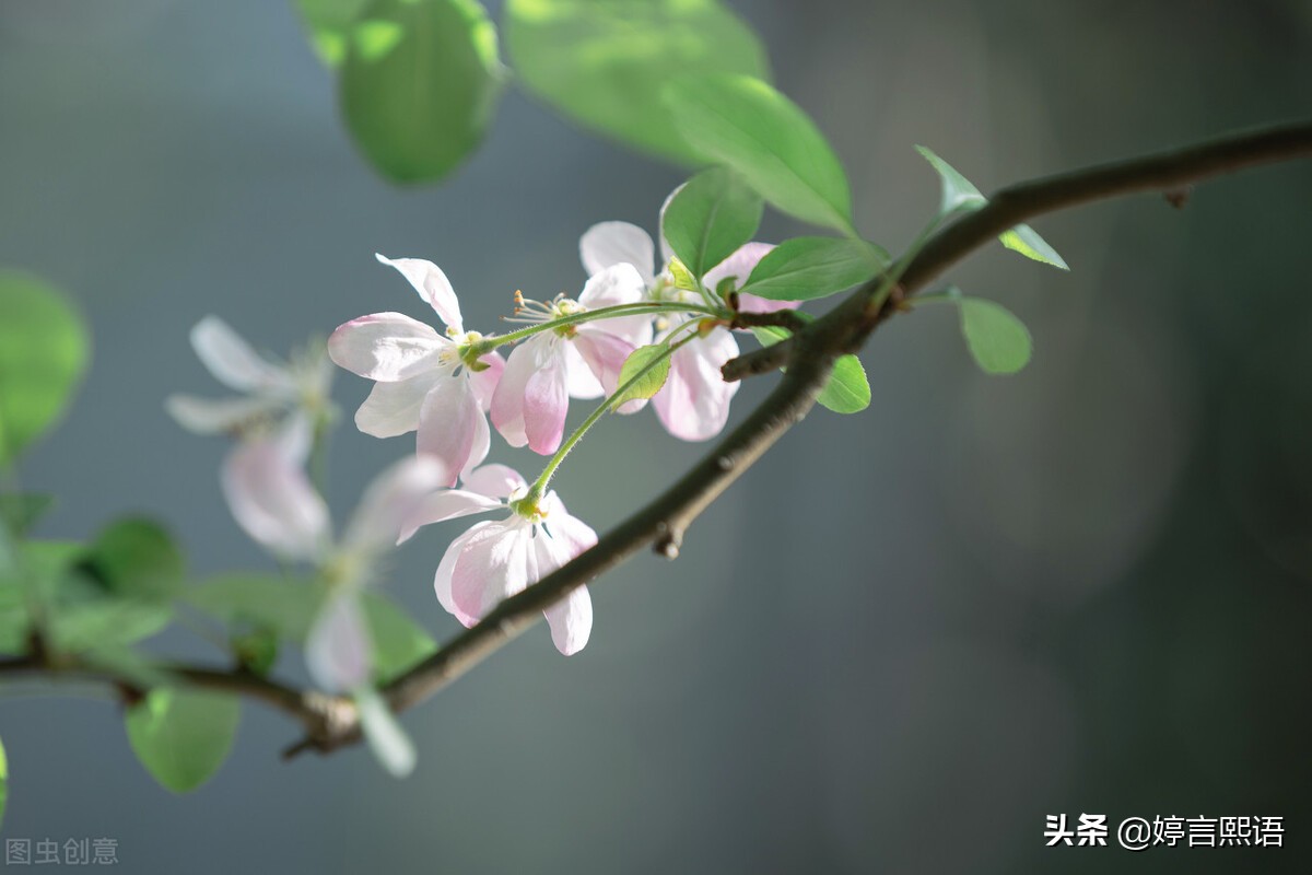 未经他人苦，莫劝他人善——那些藏在心中不为人知的事