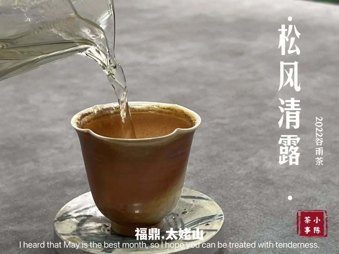 注册茶叶商标名字大全（0基础新人该买什么茶）