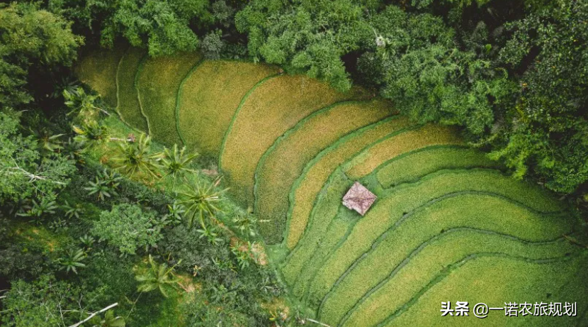 实施乡村建设行动须把握好三点要求
