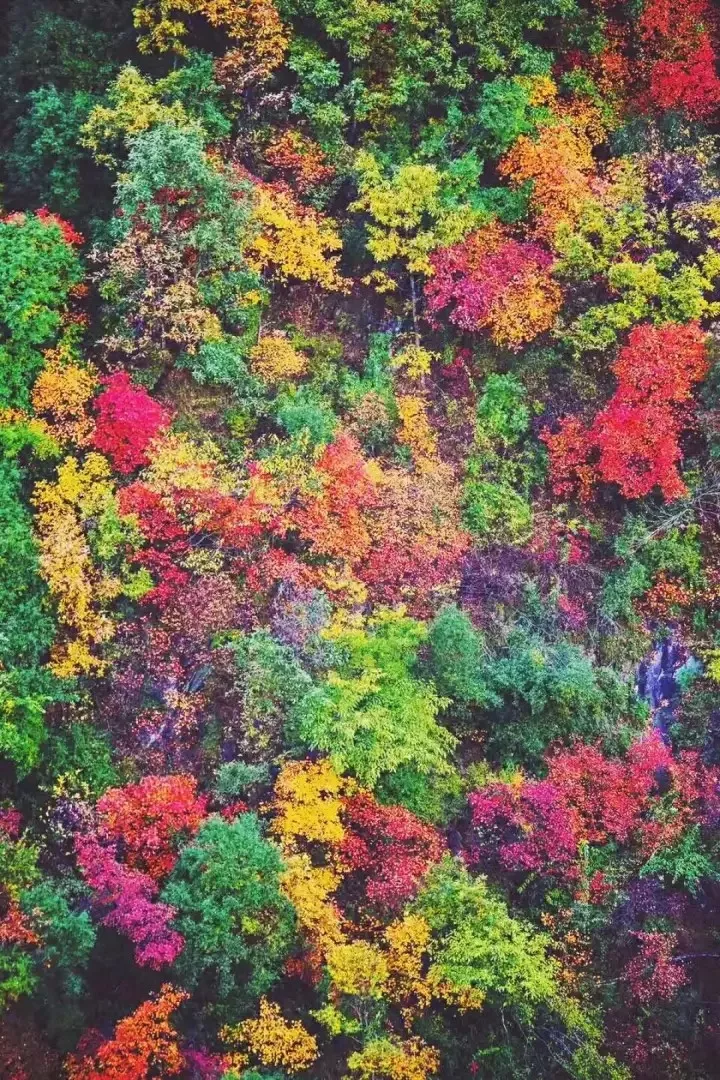 河南：一部河南史，半部华夏册，“豫”见中国的大美之地