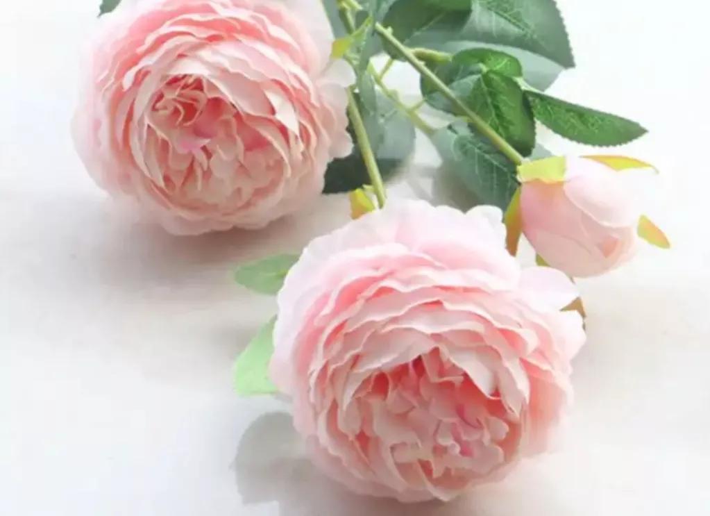 《增广贤文》中有关处世态度的10句话