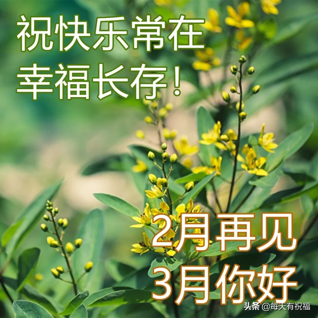 三月你好早安问候语图片，适合发朋友圈的三月早安祝福语