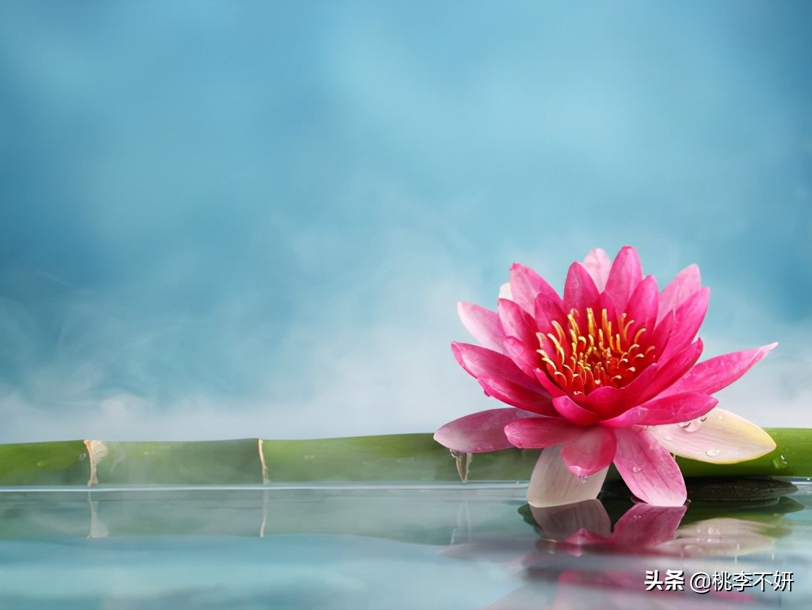 凡事入心，虔诚专注，静待花开