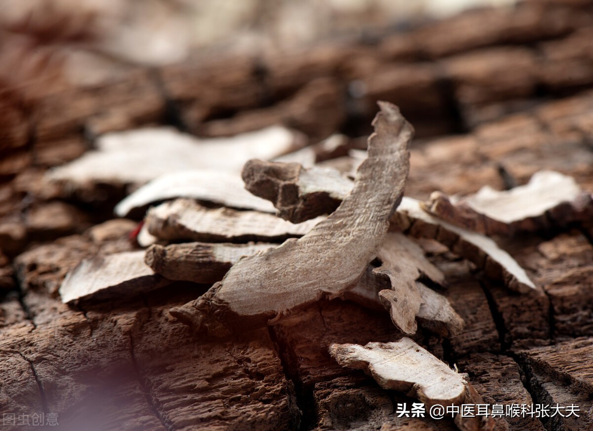 耳为清气之海！耳鸣了，一味药塞耳朵里，塞好为止