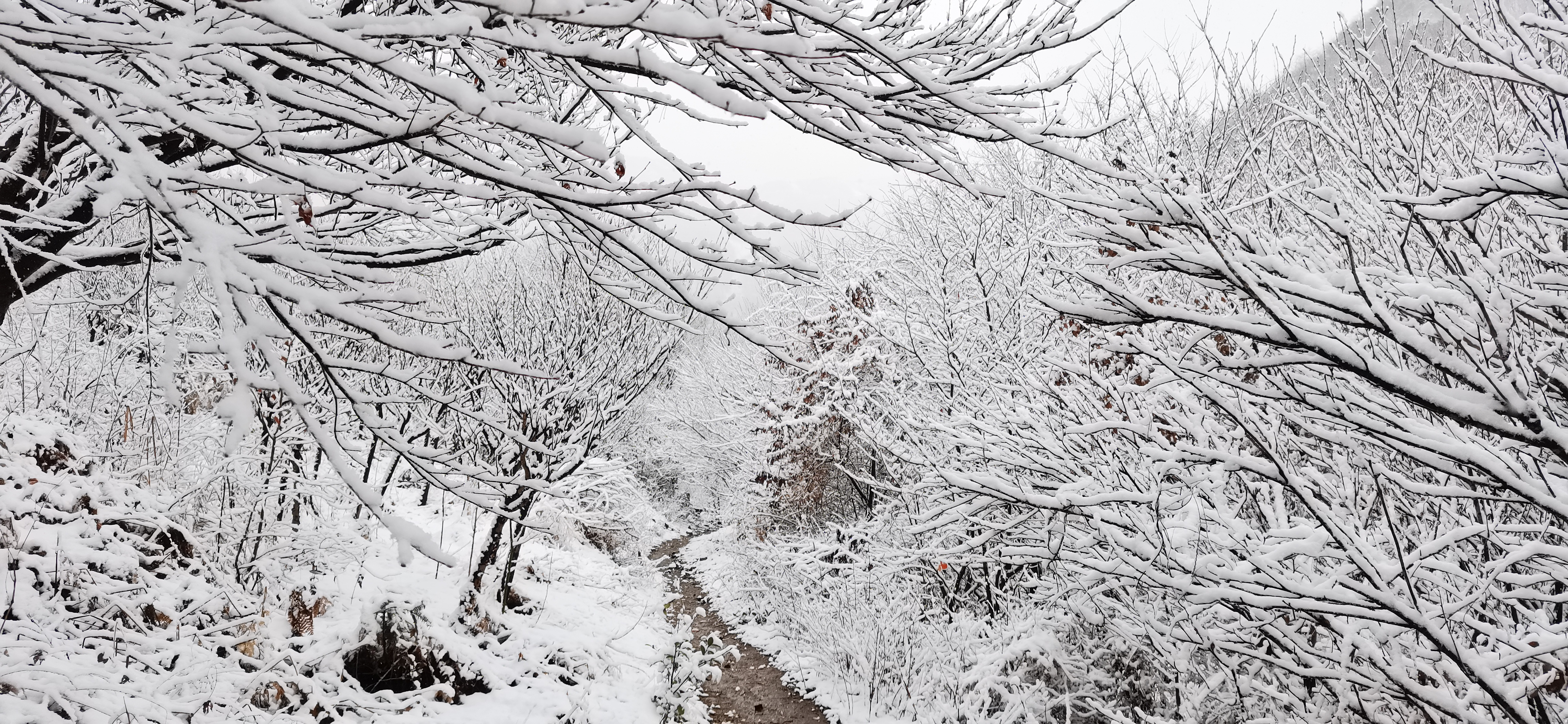 宁波小众旅行地，避开人群看雪，走进南方银装素裹的世界