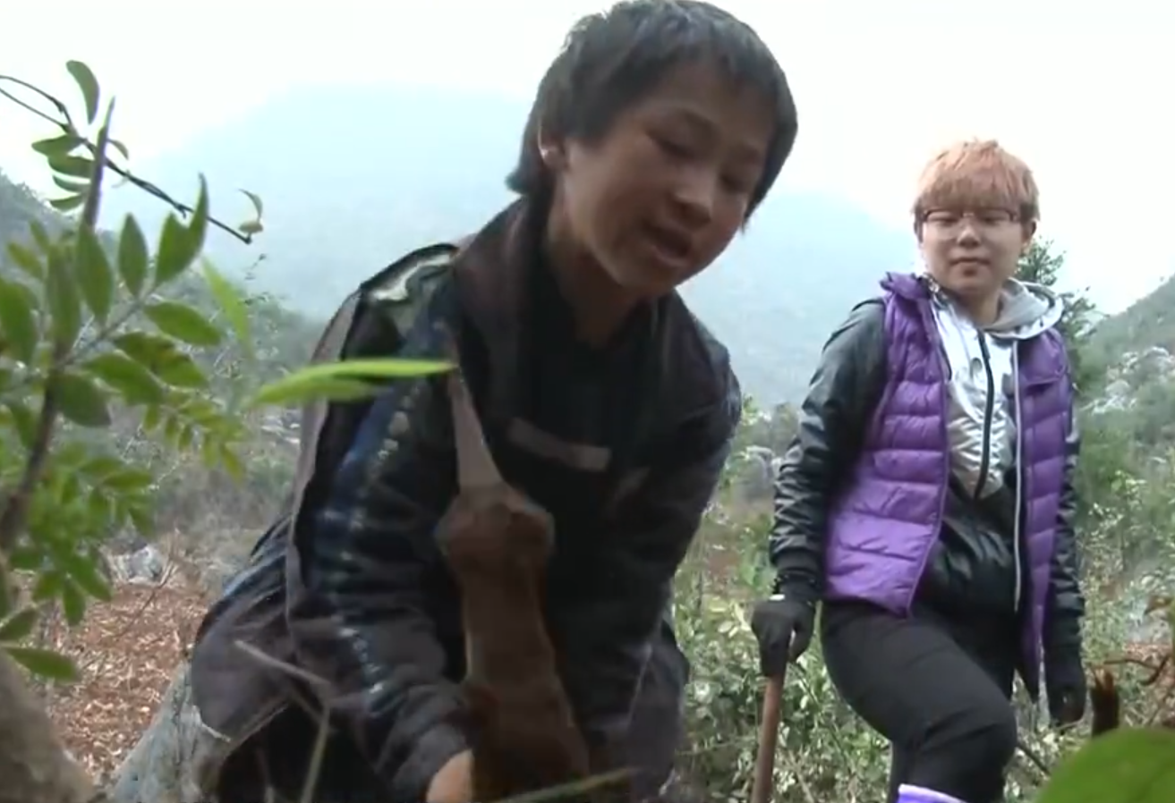 辽宁富家女：每天早饭300块，一双鞋穿三次就扔，喜欢和母亲对打