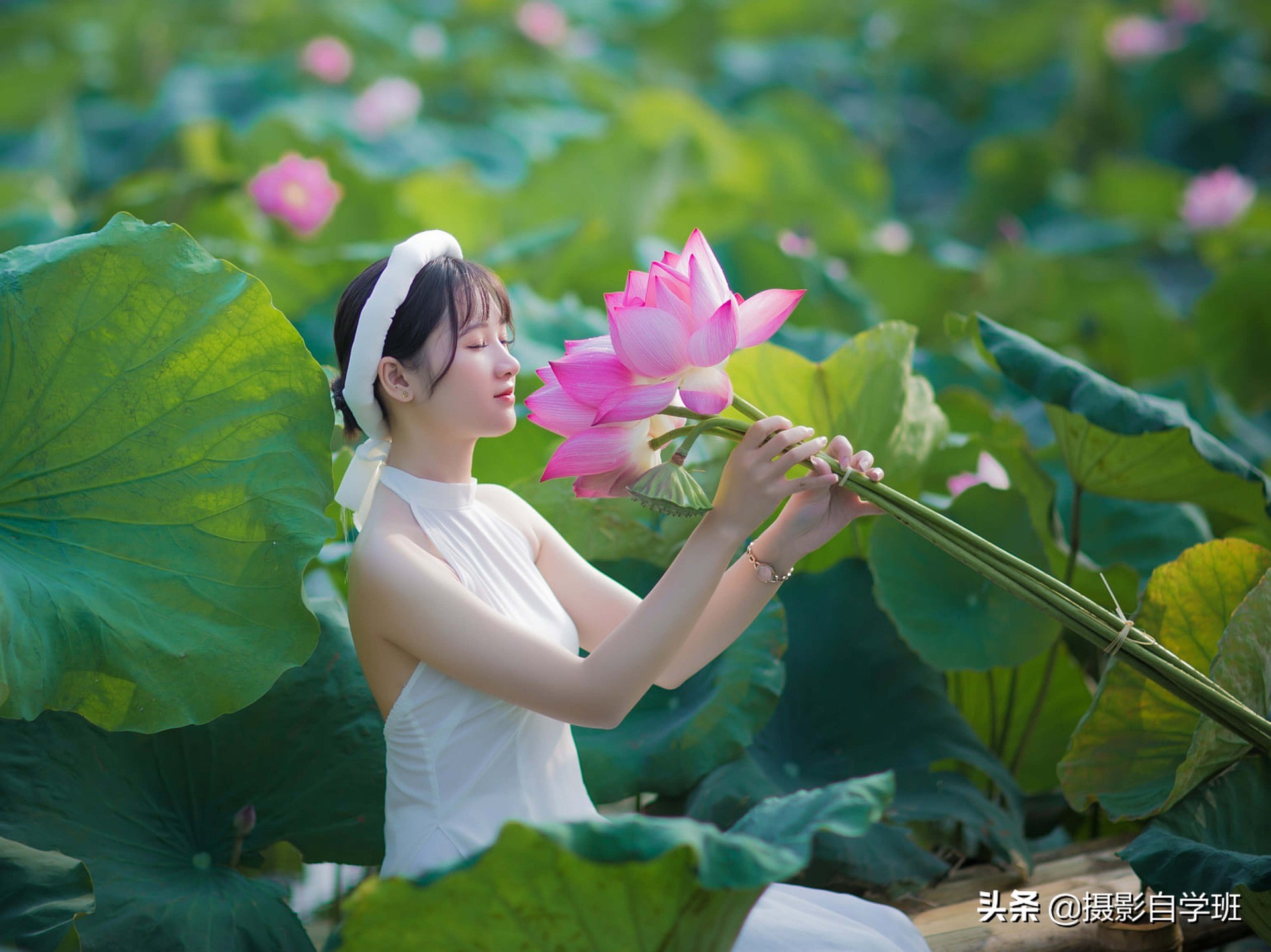 拍摄荷花人像注意这6个影响，必能拍出精品，经久不衰