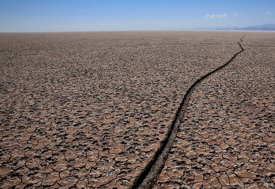 �ϴ������쳣�ķ�Ӧ�����ڷ����̼������̼��Լ���ͷŶ�5.3�ڶ�