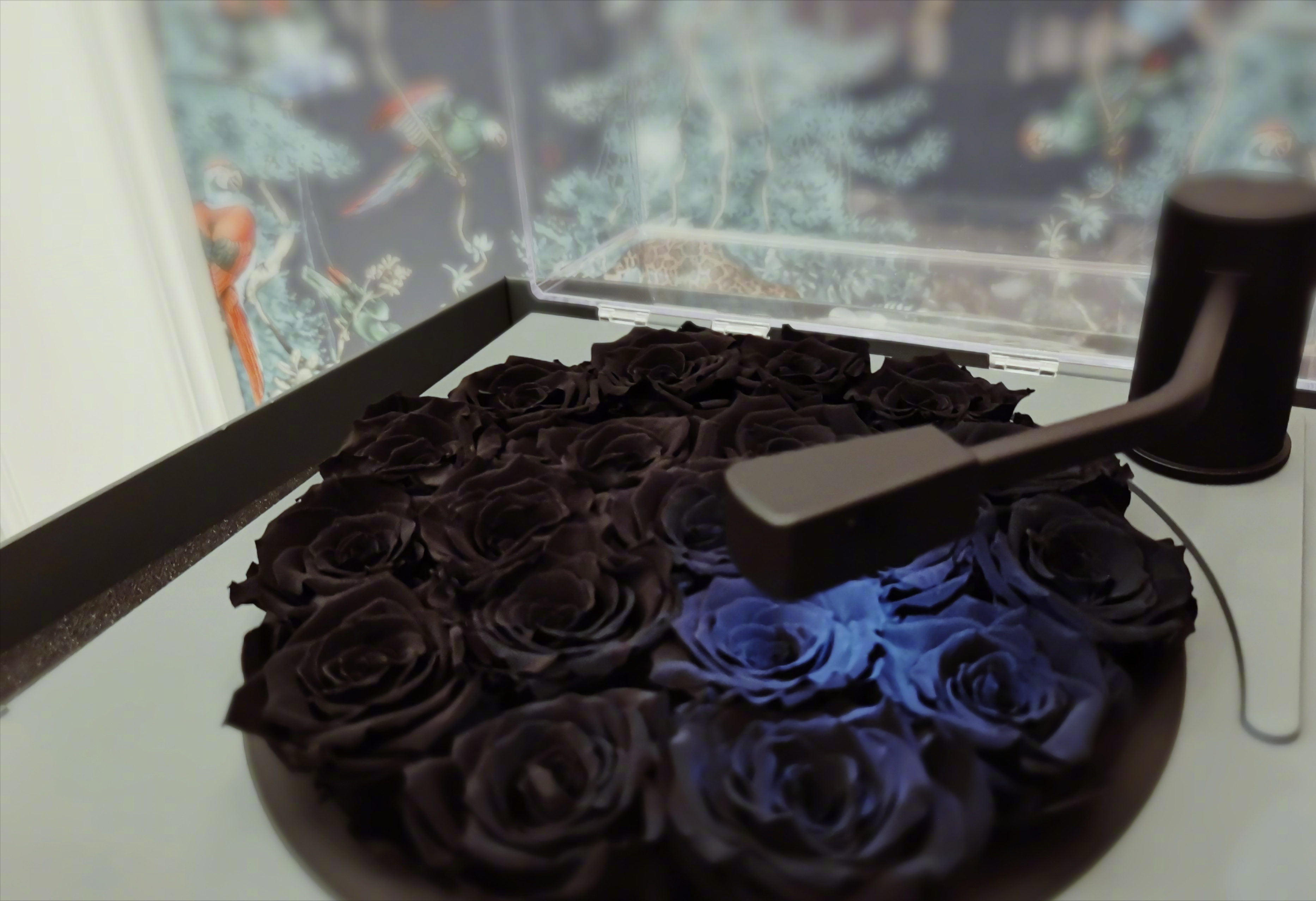 汪峰发文庆祝51岁生日，章子怡小苹果醒醒均出镜，一家人温馨有爱