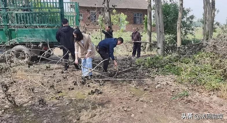 澧县官垸镇：党员干部健步行 下村锻炼两不误