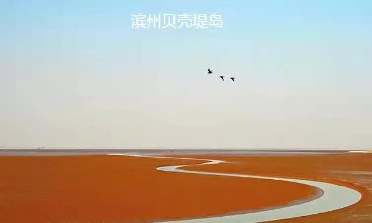 以“评估”为契机,提升贝壳堤岛自然保护区的管理水平