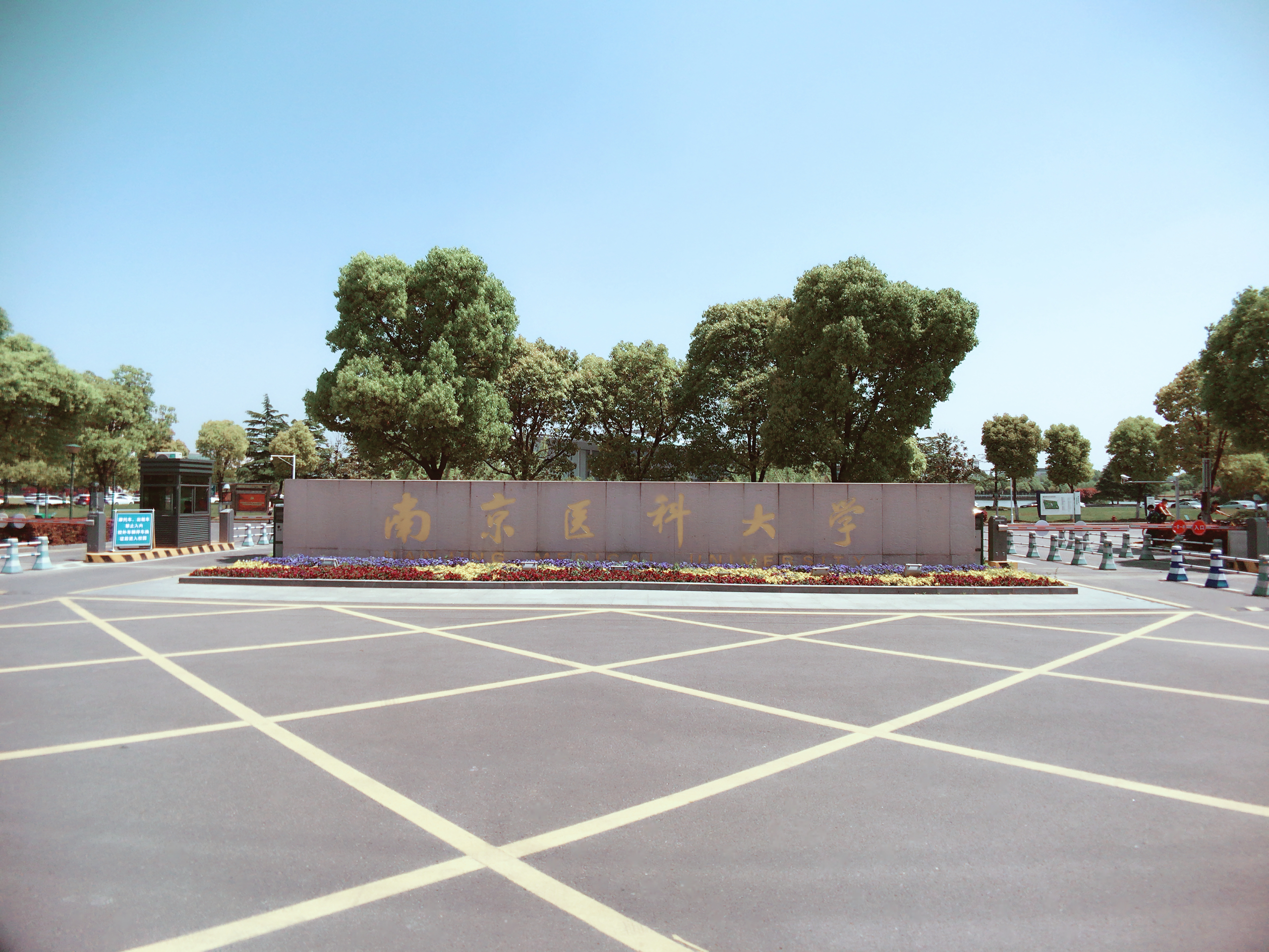 第二轮双一流名单：一句顺口溜，三个共同点，七个新成员