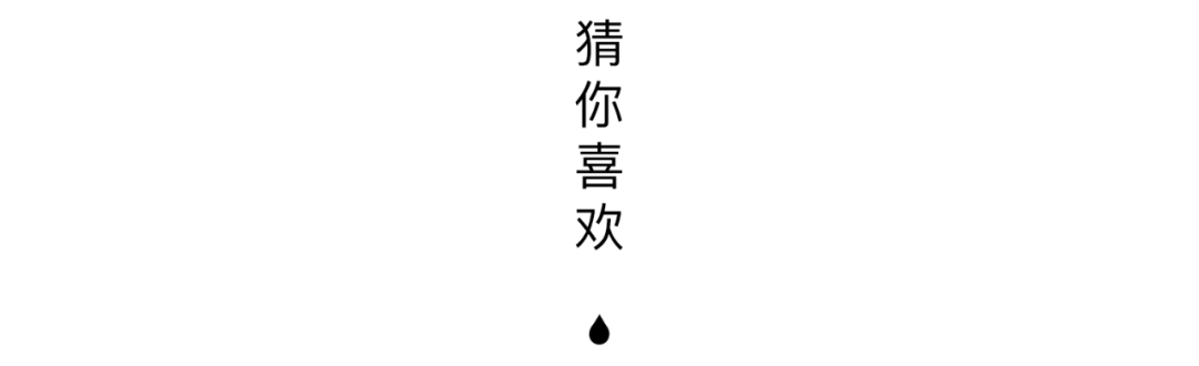 文案 | 空灵而不烂大街的小众私藏书摘句子