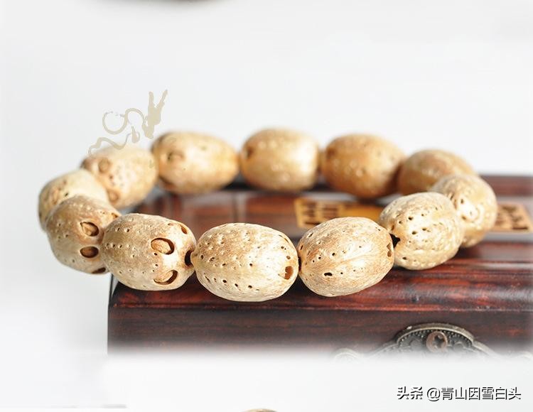 农村这种树,果肉能做可口的酸枣糕,果核是"五眼六通菩提子"