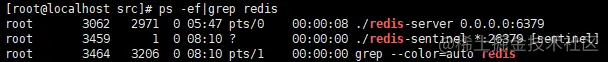 如何保证 Redis 高可用和高并发（主从+哨兵+集群）