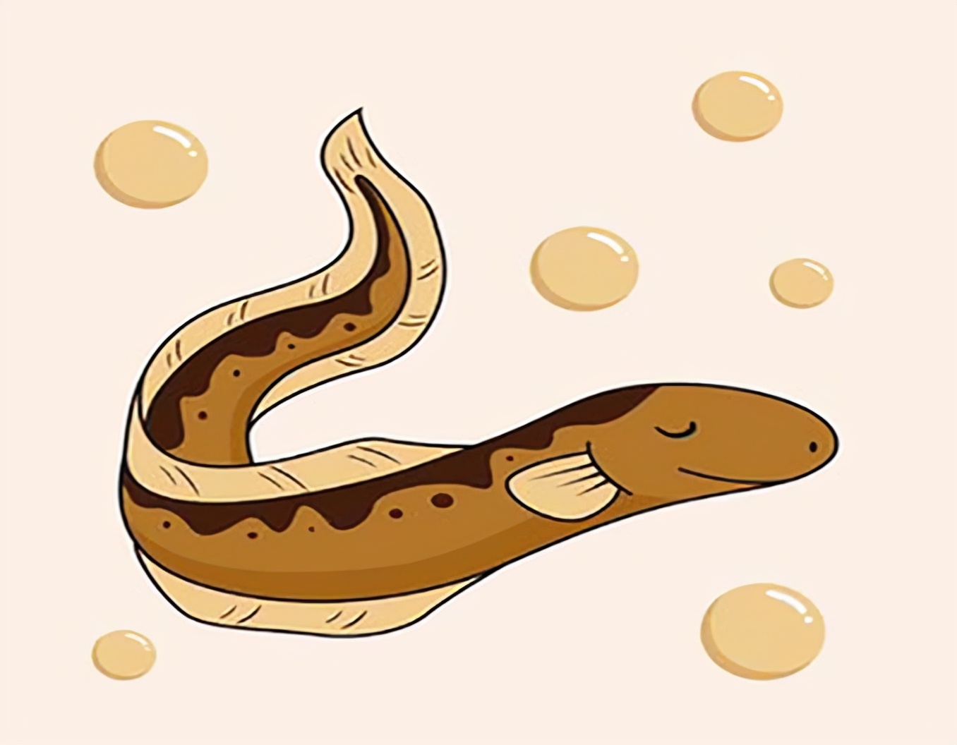 鱼怎么繁殖下一代(小时候当妈)